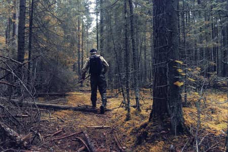 Купить диплом Егеря, лесника в Энгельсе